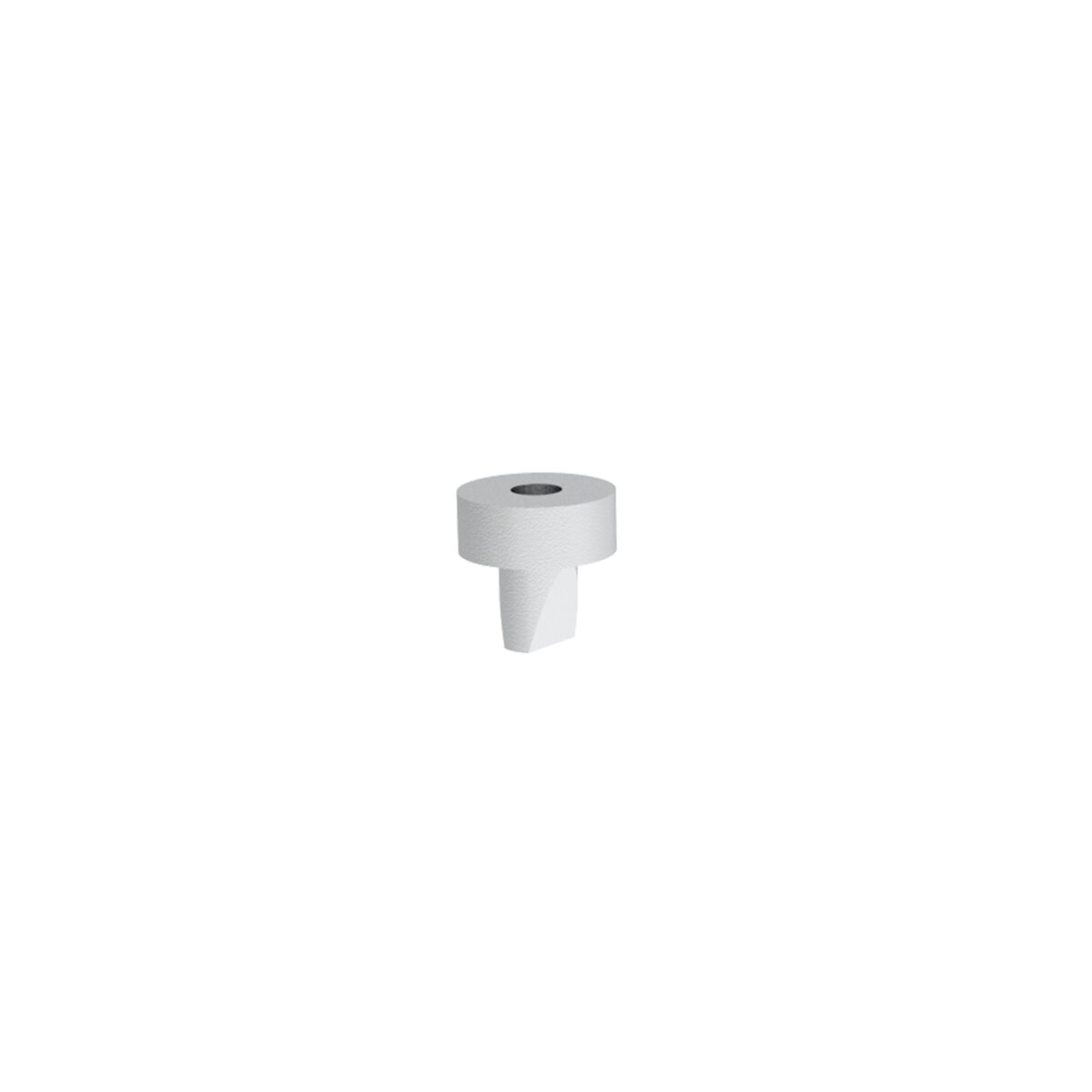 IVT Check Valve