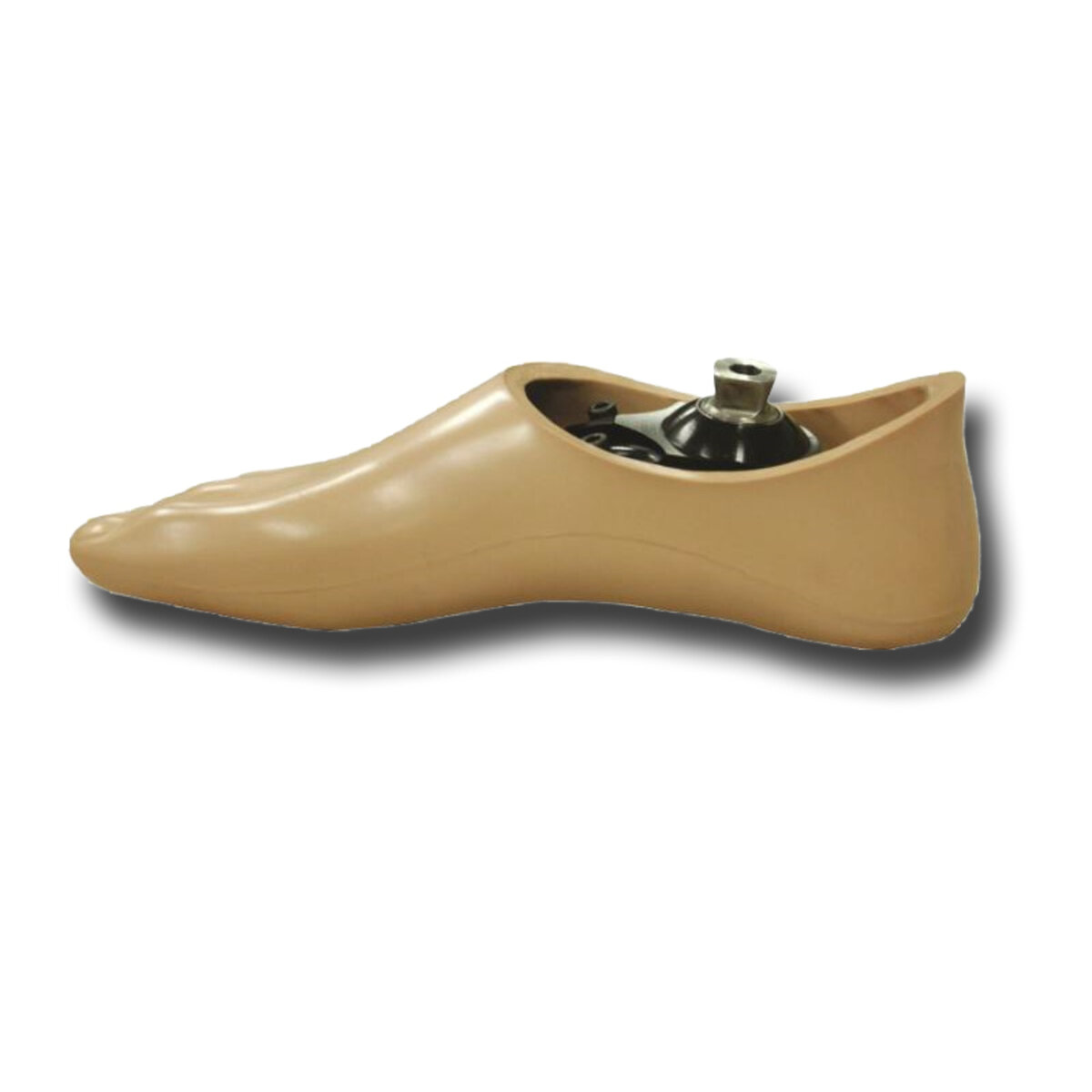 Dynamic Step Foot
