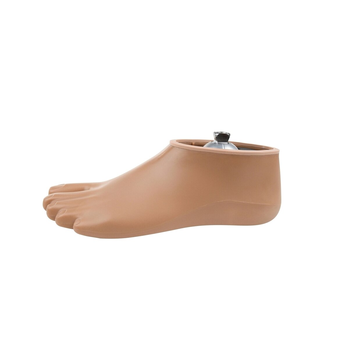 Evanto Foot Shell