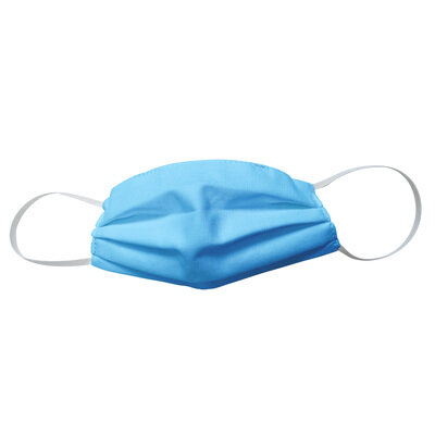 Pleated Face Mask