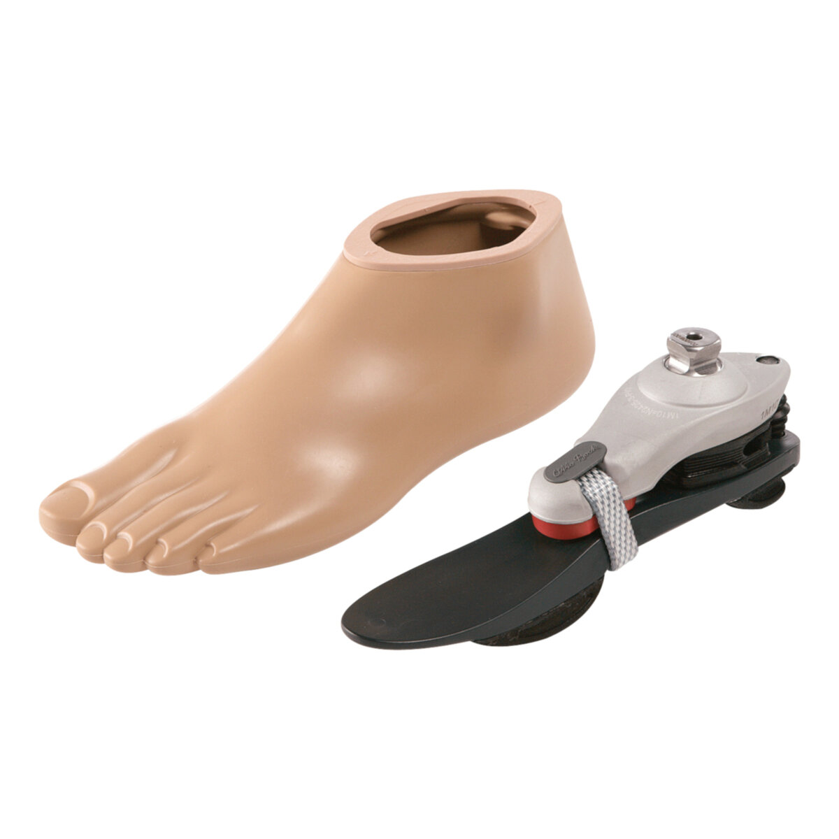 Adjust Foot